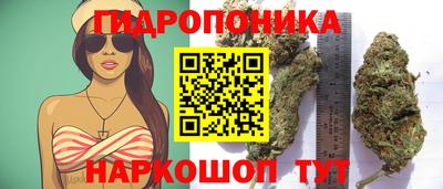 метадон Шелехов